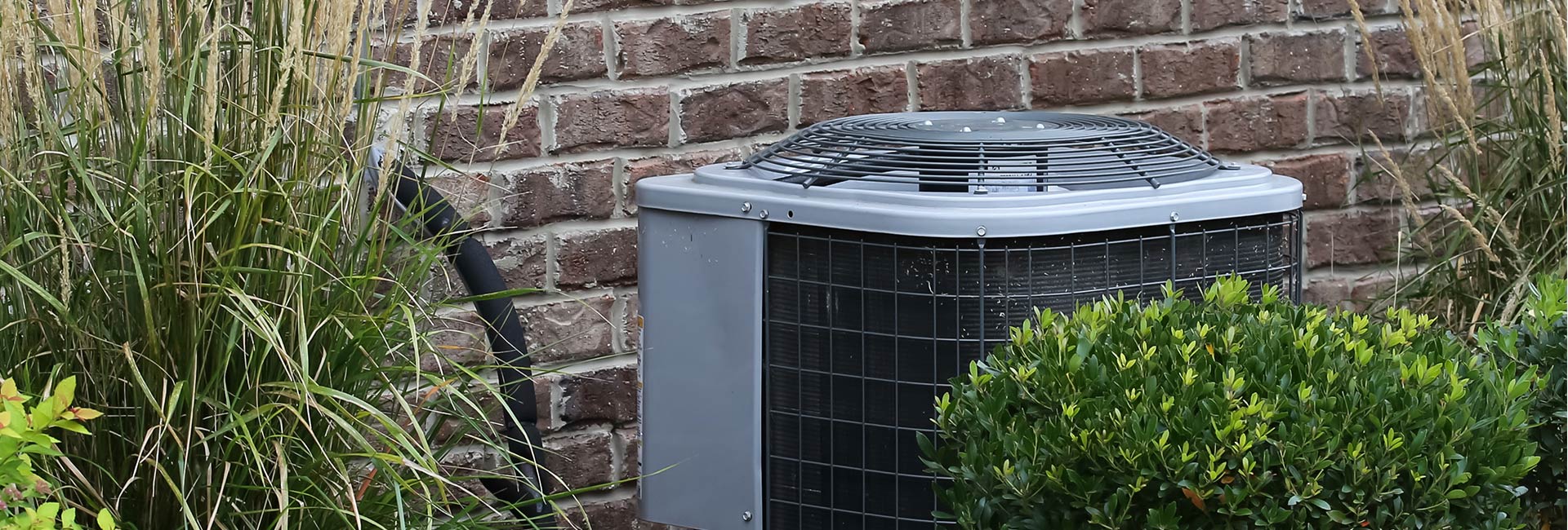 Hampstead Zip Code Nc at Van Blanton blog